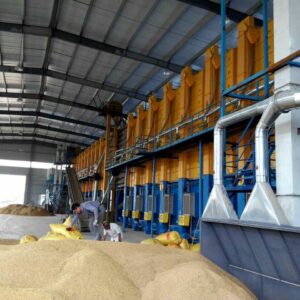 Large heap of paddy rice with Presun 5HPX-30B 30-ton grain dryer machine array in Ma'anshan, Anhui facility